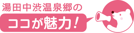 ココが魅力